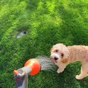 Meet your Posher, Therese